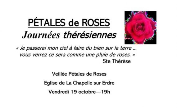 thumbnail of Pétales de roses 2018 – ima
