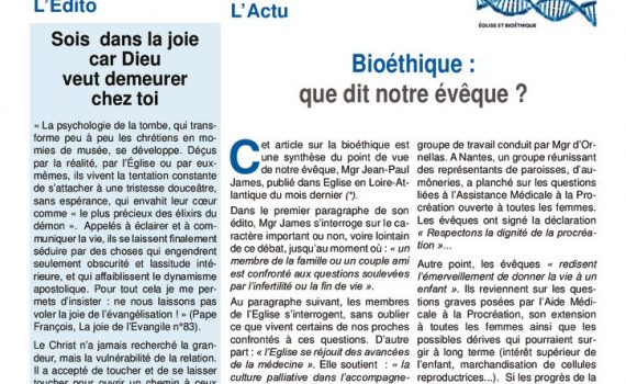 thumbnail of bulletin-de-novembre-2019