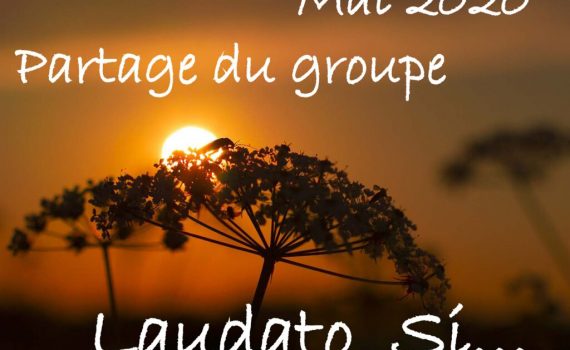 thumbnail of Partage Laudato Mai 2020